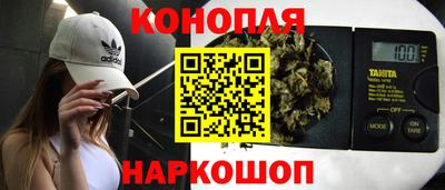 прущие грибы Ленинск-Кузнецкий
