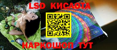 прущие грибы Ленинск-Кузнецкий