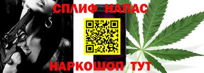 прущие грибы Ленинск-Кузнецкий